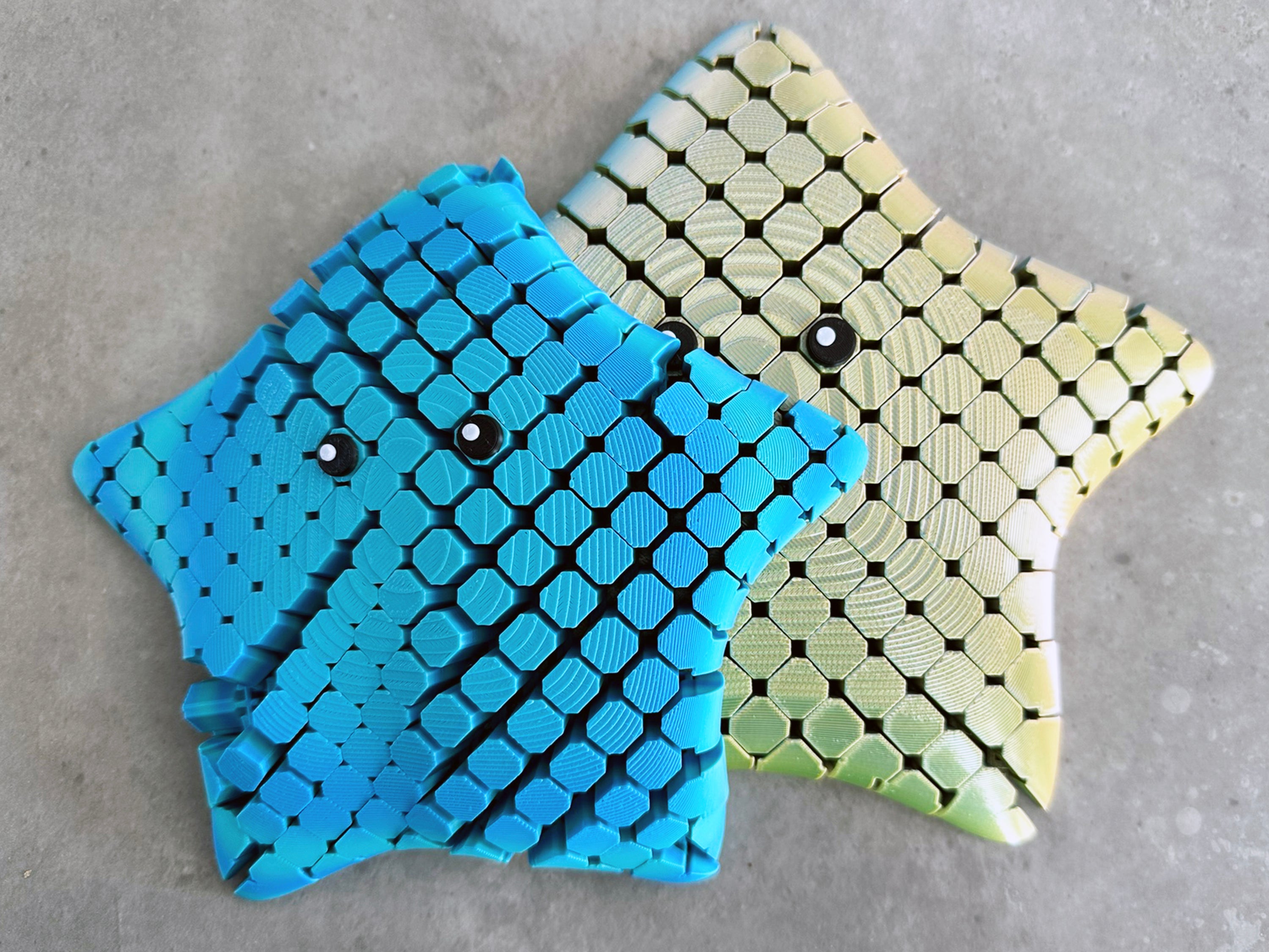 Flexi Starfish