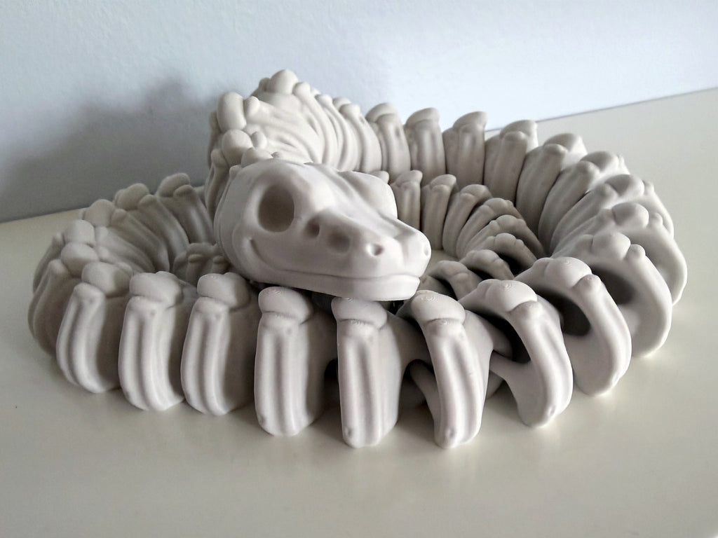 Ball Python Skeleton