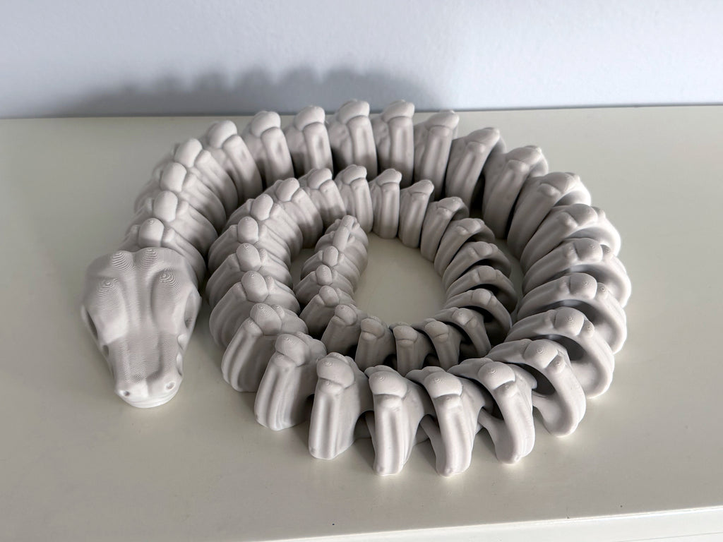Ball Python Skeleton
