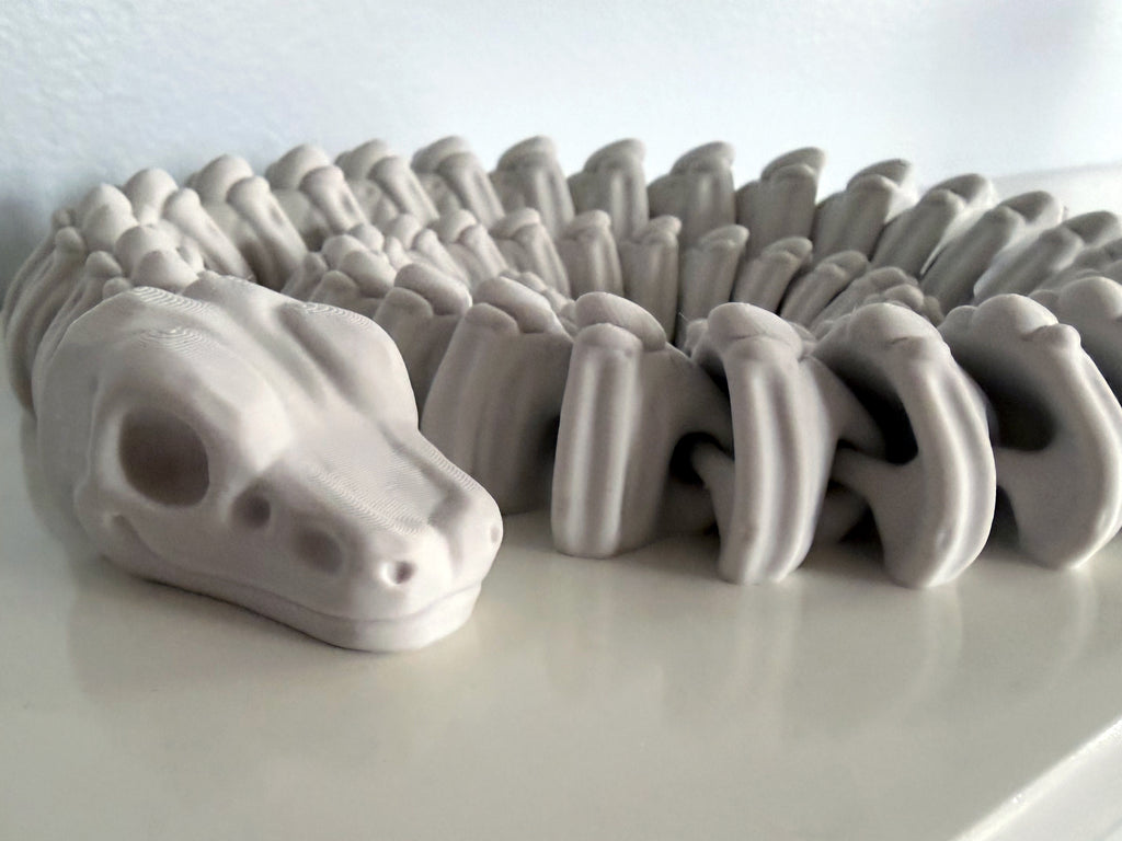 Ball Python Skeleton