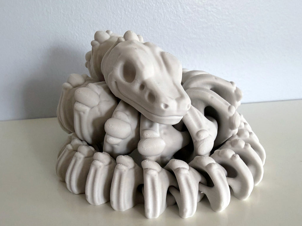 Ball Python Skeleton