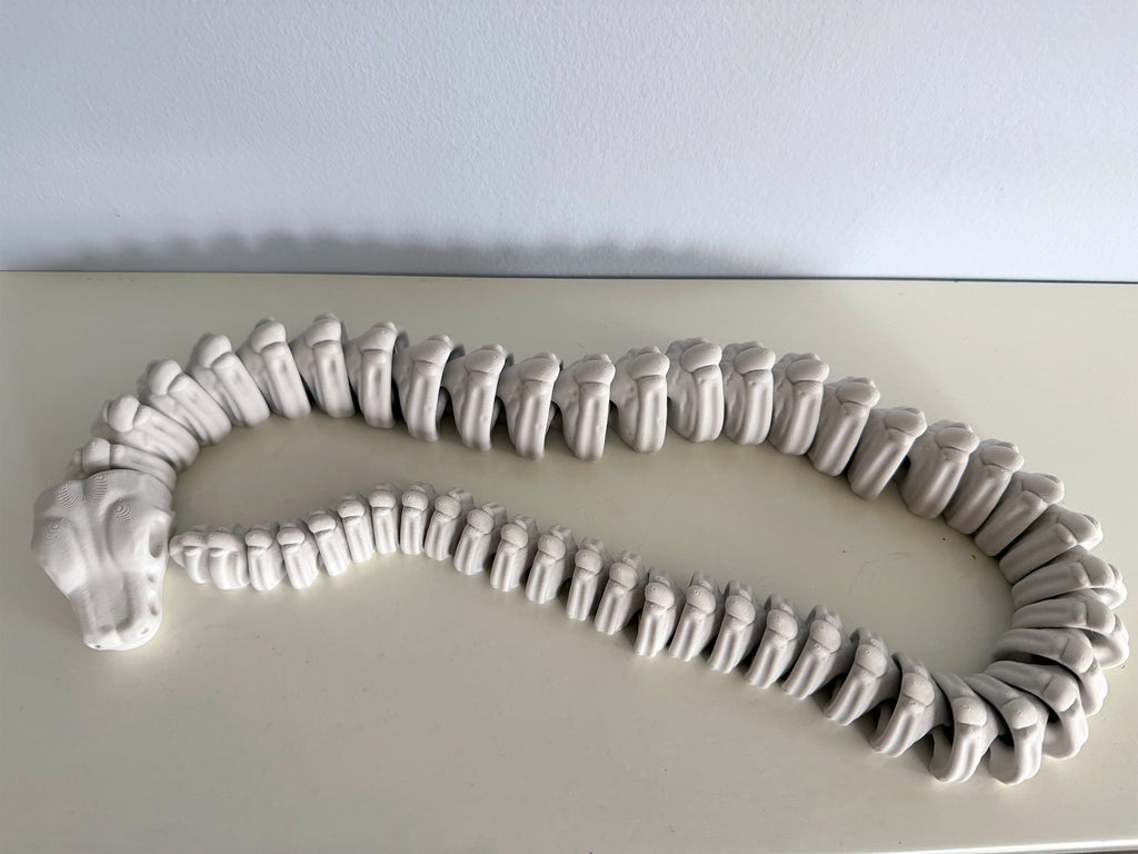Ball Python Skeleton